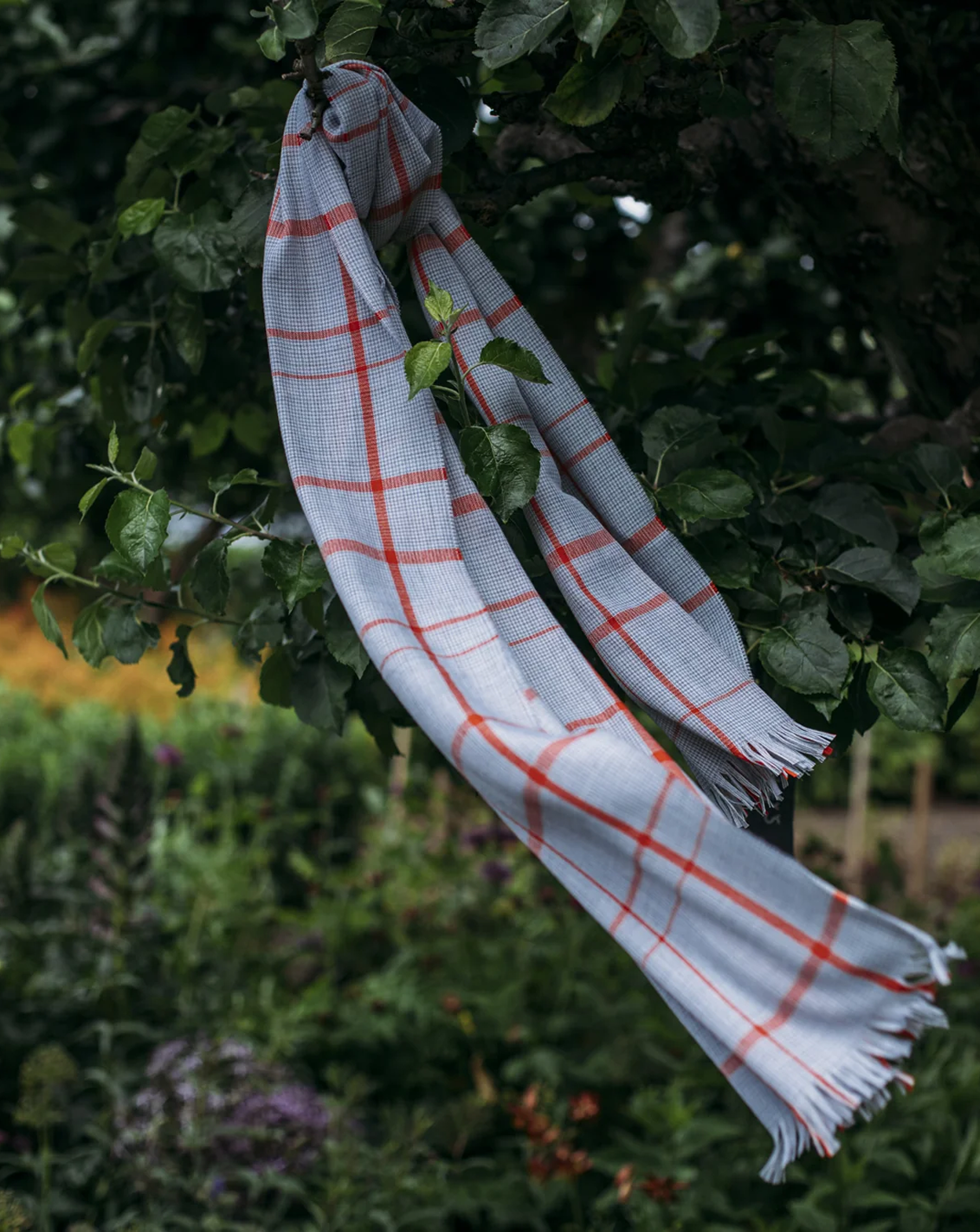 Stitching the Future: Crafting New Fashion from Fabric to Fabulous